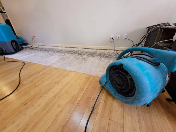 Professional Water Damage Repair technician working in Blue Rock, OH